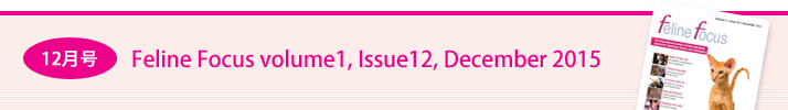 12FFeline Focus volume1, Issue12, December 2015