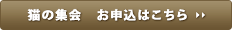Oo^͂炩炨葱
