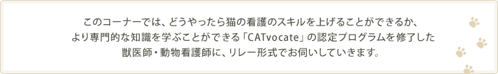 このコーナーでは、どうやったら猫の看護のスキルを上げることができるか、より専門的な知識を学ぶことができる「CATvocate」の認定プログラムを修了した 獣医師・動物看護師に、リレー形式でお伺いしていきます。
