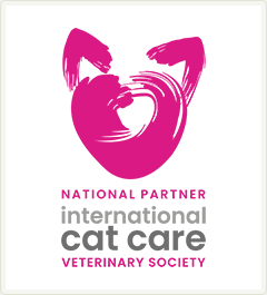 international cat care