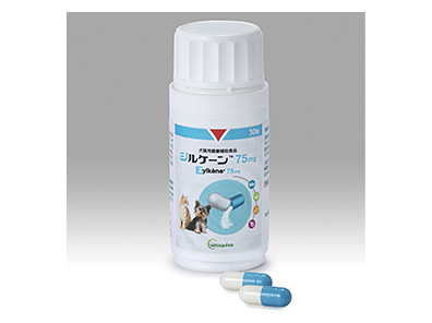 ジルケーン75mg