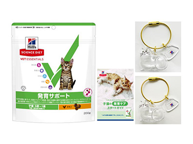 ベットエッセンシャル発育サポートキトン けだまだまキーホルダー リーフレット セット