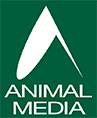 ANIMAL MEDIA