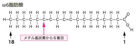 ω6b_